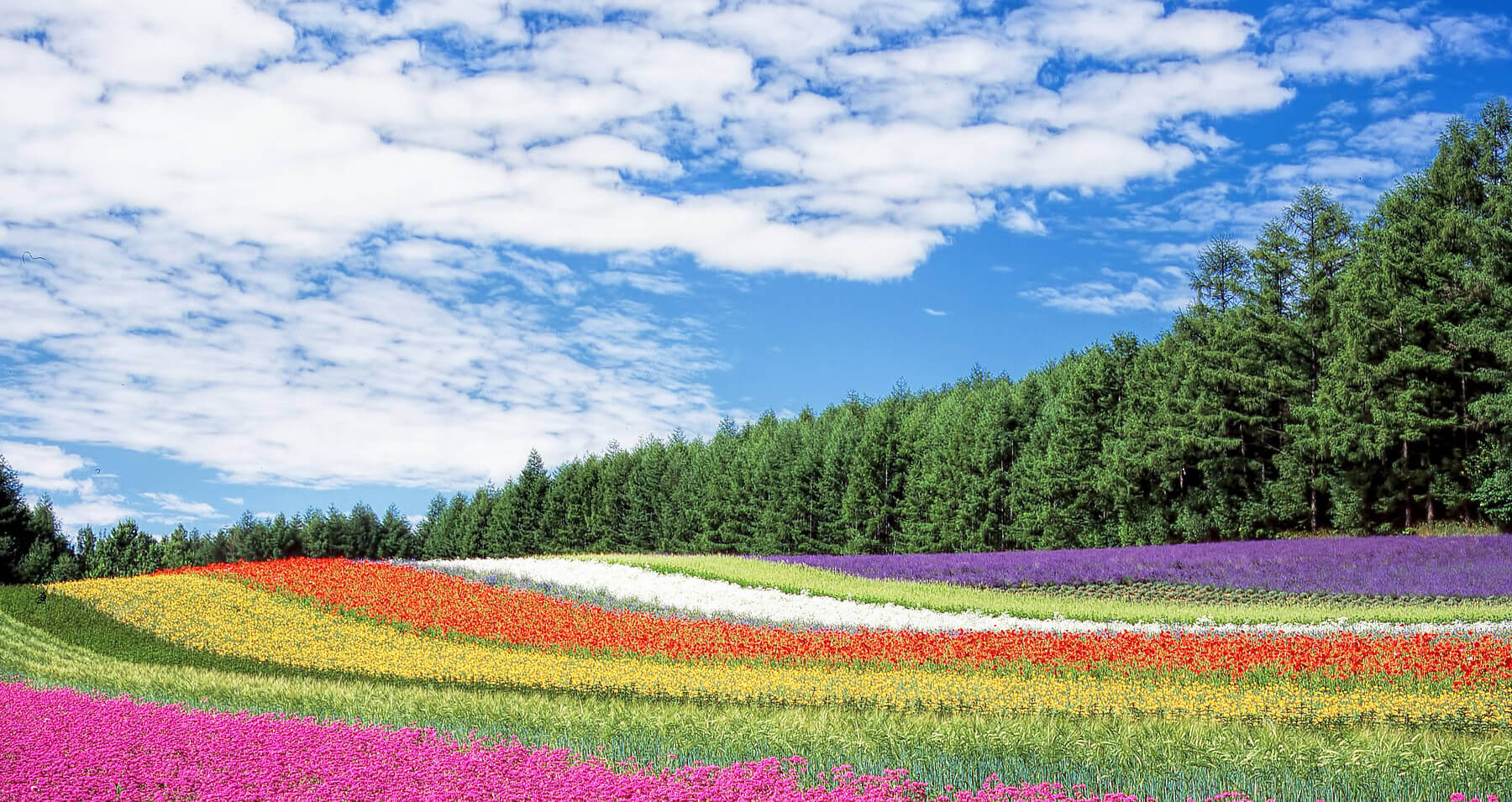 国内旅行 福岡県勤労者旅行会