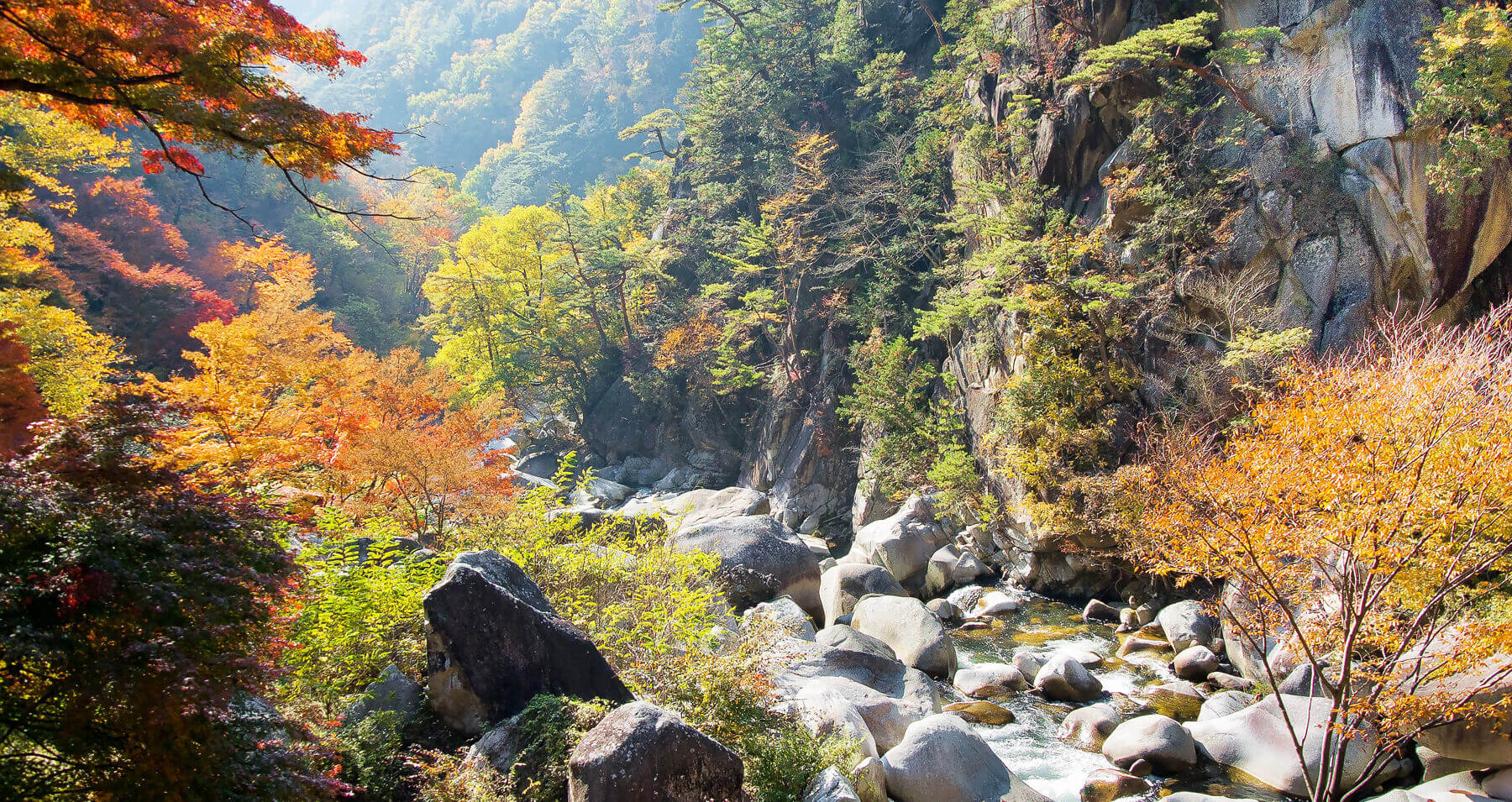 国内旅行 福岡県勤労者旅行会